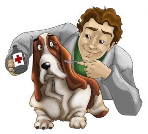 vet treating a pet