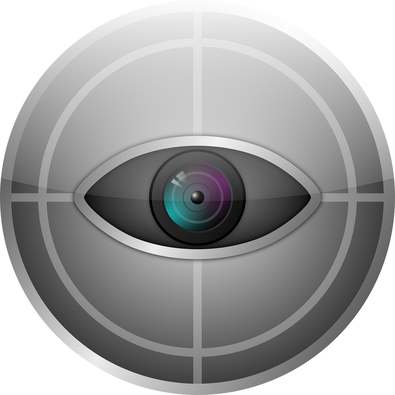 camera eye
