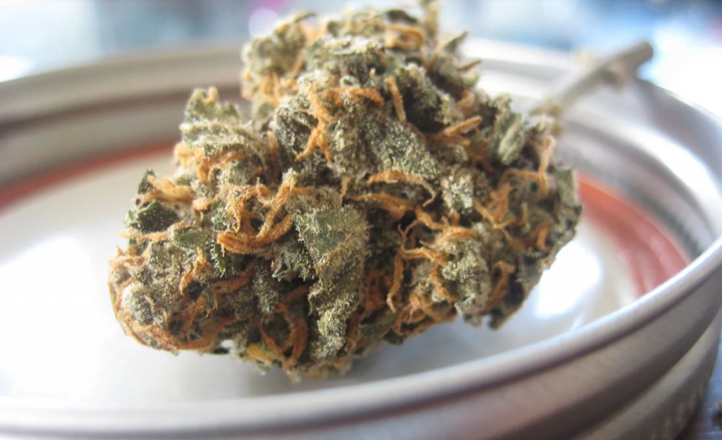 cbd oil