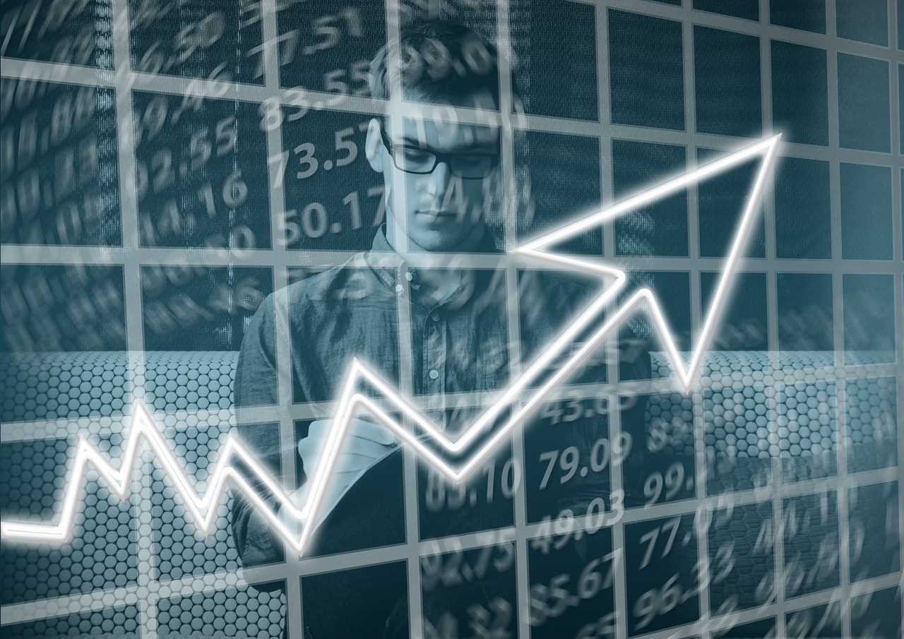 statisticians job
