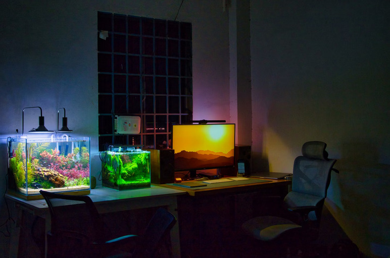 reef tanks
